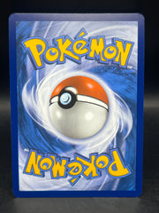 Zapdos Ex 202/165 151