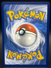 Yanmega Ex 228/182 Destined Rival