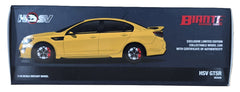 Holden HSV GTSR Heron