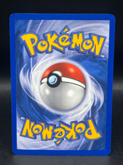 Team Magma’s Houndoom 10/95 Holo Team Magna Vs Team Aqua