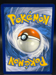 Pikachu & Zekrom GX SM248 Promo