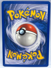 Pokémon - Gyarados Ex 102/112 Ex Fire Red Leaf Green