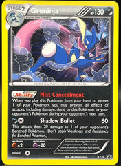 Pokémon - Greninja XY24 Black Star Promo