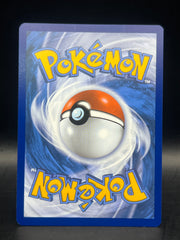 Ivysuar AR 167/165 151