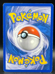 Raikou - Black Star Promo - HGSS19