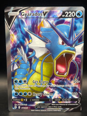 Gyarados V 171/203 Evolving Skies