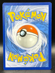 Reshiram & Charizard GX - Black Star Promo - SM247