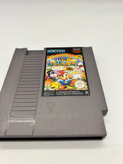 Rainbow Island for Nintendo Entertainment System