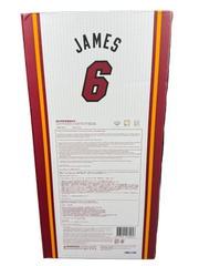 ENTERBAY - 1/6 Scale Real Masterpiece NBA LeBron James