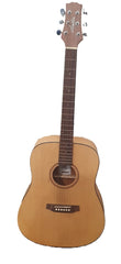ASHTON - D20 - Acoustic Guitar - Mega Cash Sydney