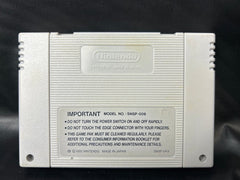 Champions World Class Soccer Ryan Giggs - Super Nintendo (SNES) Game - PAL - Mega Cash Sydney