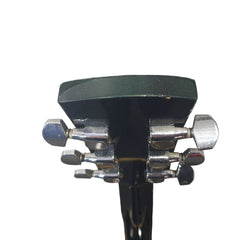 IBANEZ ACOUSTIC GUITAR - PF200TBL1201 - Mega Cash Sydney