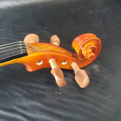 Livingstone 4/4 Violin - Mega Cash Sydney