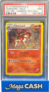 PSA 9 Charizard B&W 19/113 Cosmos Holo - Mega Cash Sydney