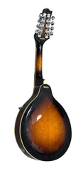 SAMICK - Greg Bennett McCoy - Mandolin - MA-1/VS - Mega Cash Sydney