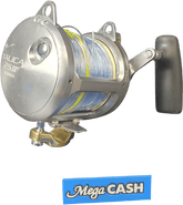 SHIMANO - TALICA 25 II - OVERHEAD FISHING REEL - Mega Cash Sydney