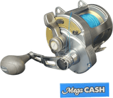 SHIMANO - TYRNOS 30 4 Bearings - OVERHEAD FISHING REEL - Mega Cash Sydney