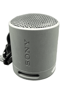 Sony Bluetooth Speaker SRS-XB100 - Mega Cash Sydney