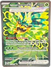 Teal Mask Ogerpon EX Special Illustration Rare - Twilight Masquerade - Mega Cash Sydney