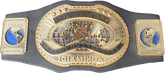 WWE - INTERCONTINENTAL CHAMPION BELT - 2000 - Jakks Pacific - Mega Cash Sydney