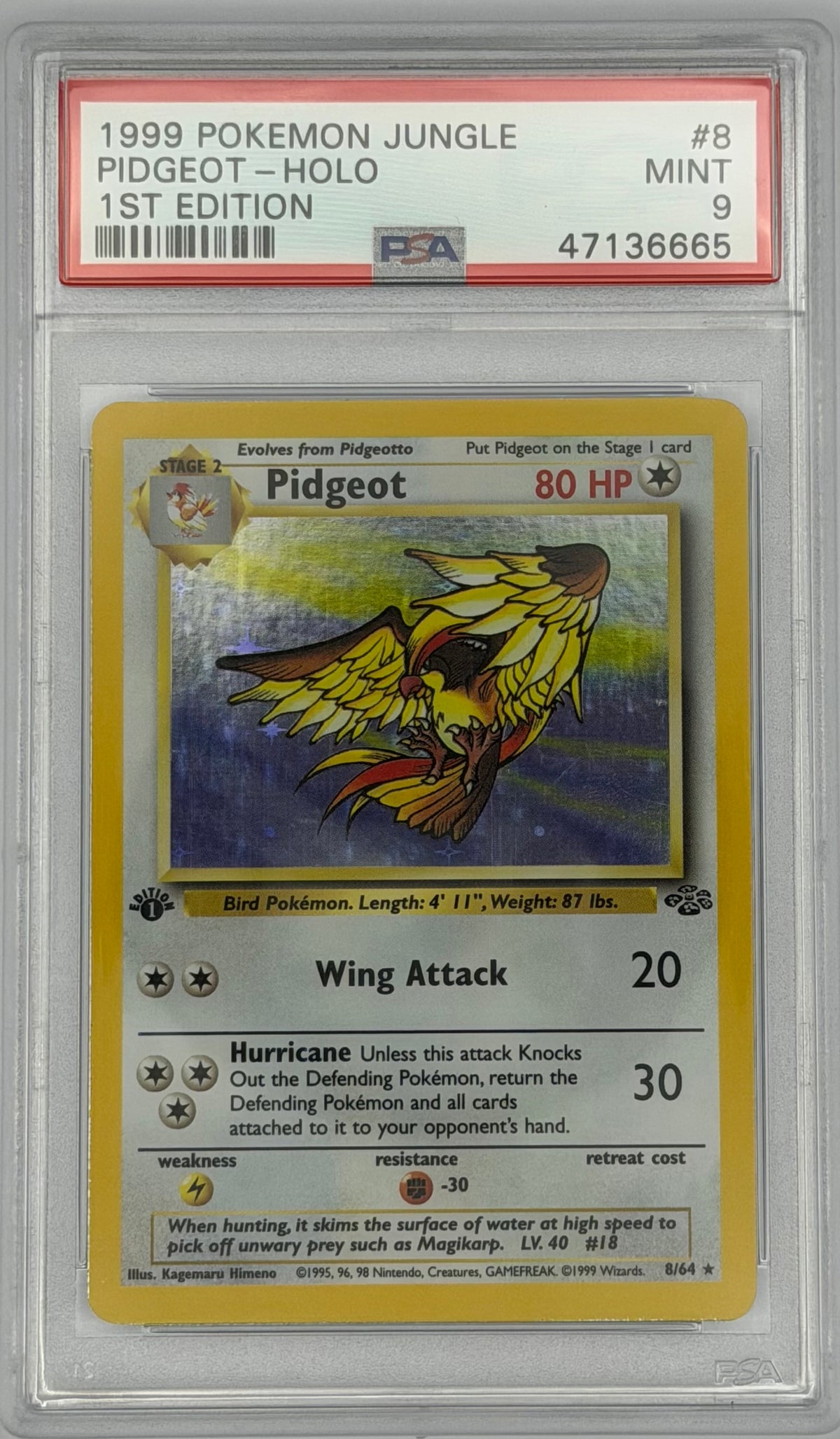 Pokemon PSA 9 Pidgeot 8/64 1st addition Holo Jungle