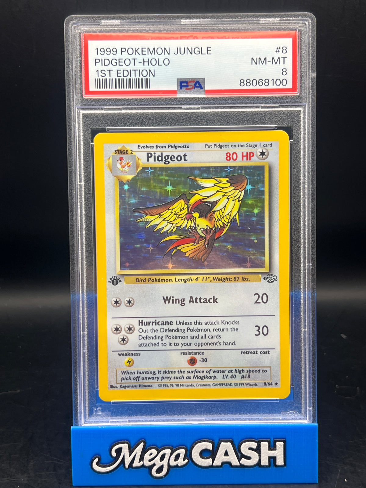 PSA 8 1ST Edition Pidgeot Holo 8/64 Jungle