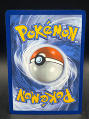 Poilwhirl AR 176/165    151