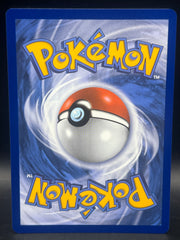 Tornadus V 185/198 Chilling Reign