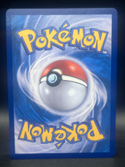 Korean Venusaur EX 200/165 151