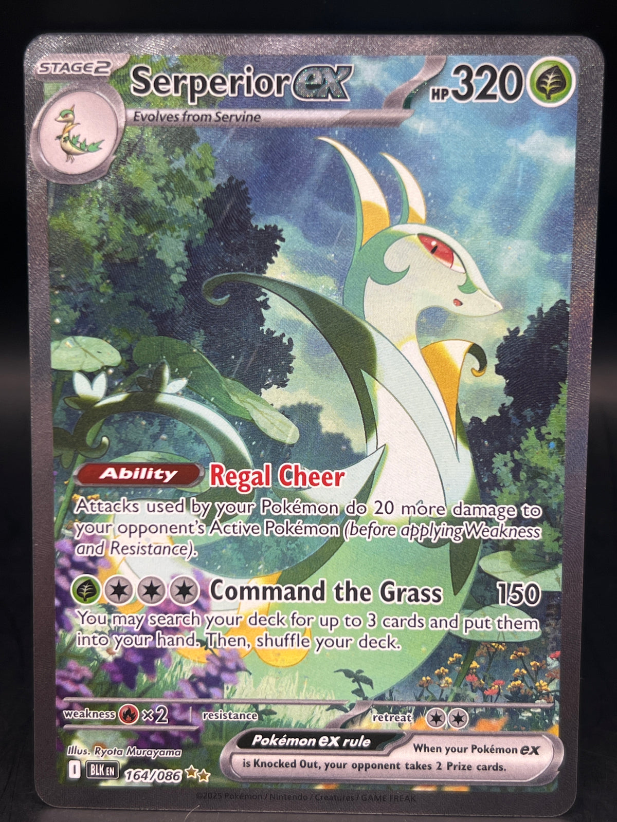 Serperior EX 164/086 Black bolt