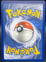 Pokémon Shining Magikarp Celebrations