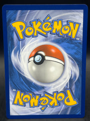 Venusaur & Snivy GX SM229