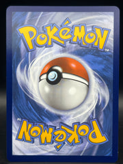 Briar SIR 171/142 Stellar Crown