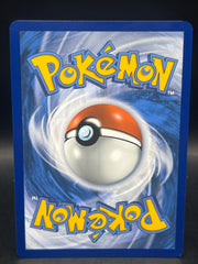 Raging Bolt Ex 208/162 Temporal Forces