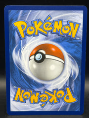 Zapdos EX 202/165 SIR 151