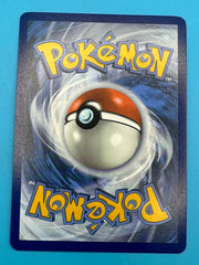 Team Rocket’s Houndoom Illustration Rare - Destined Rivals