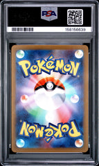 Pokemon PSA 10 Eevee ex 224/187 Special Art Rare Japanese