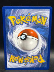 Leafeon Vmax 205/203 Evolving Skies