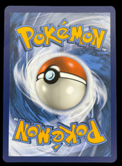 Pokemon- Charizard EX 223/197
