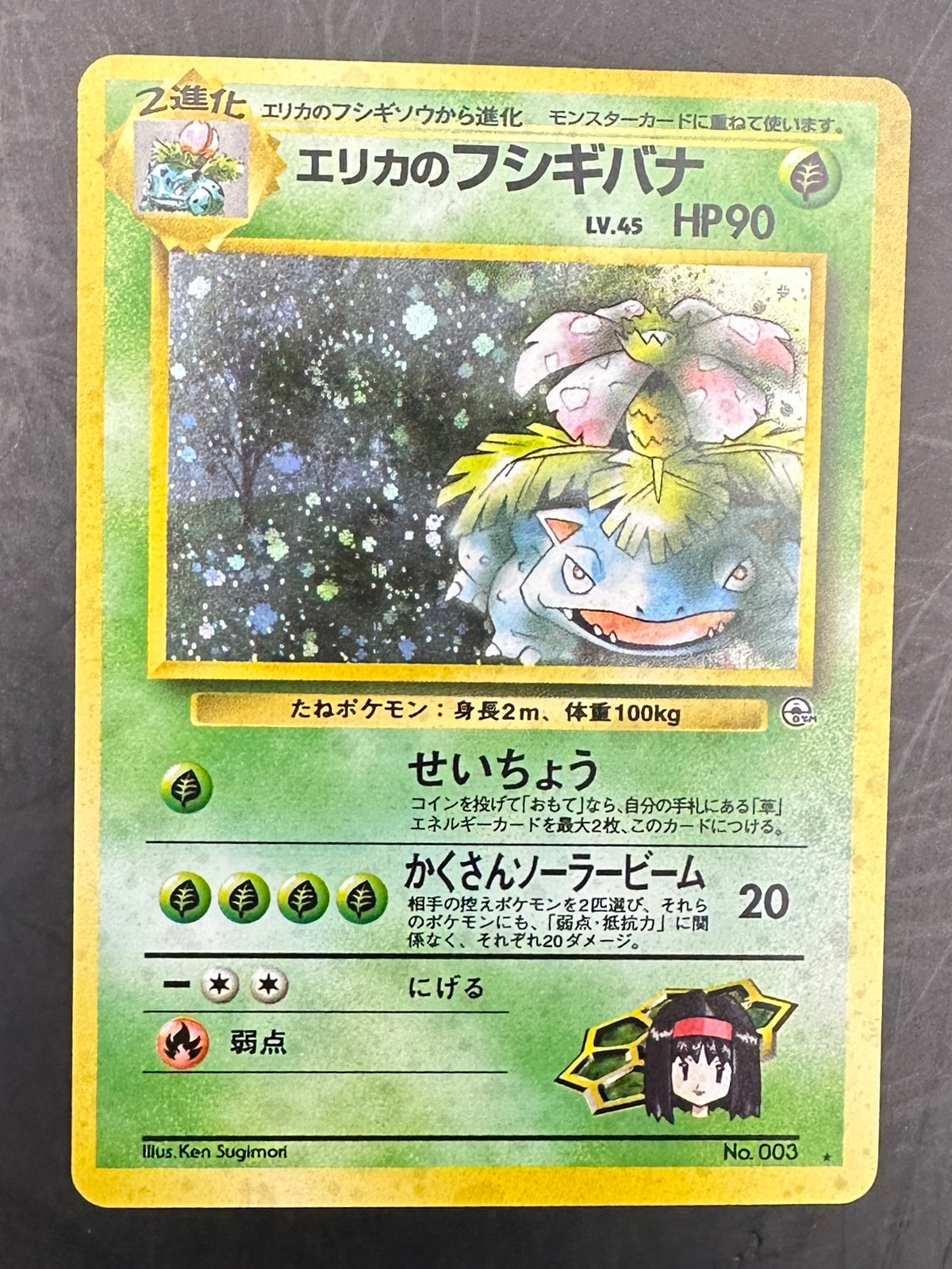 Erika’s Venusaur - Gym Challenge