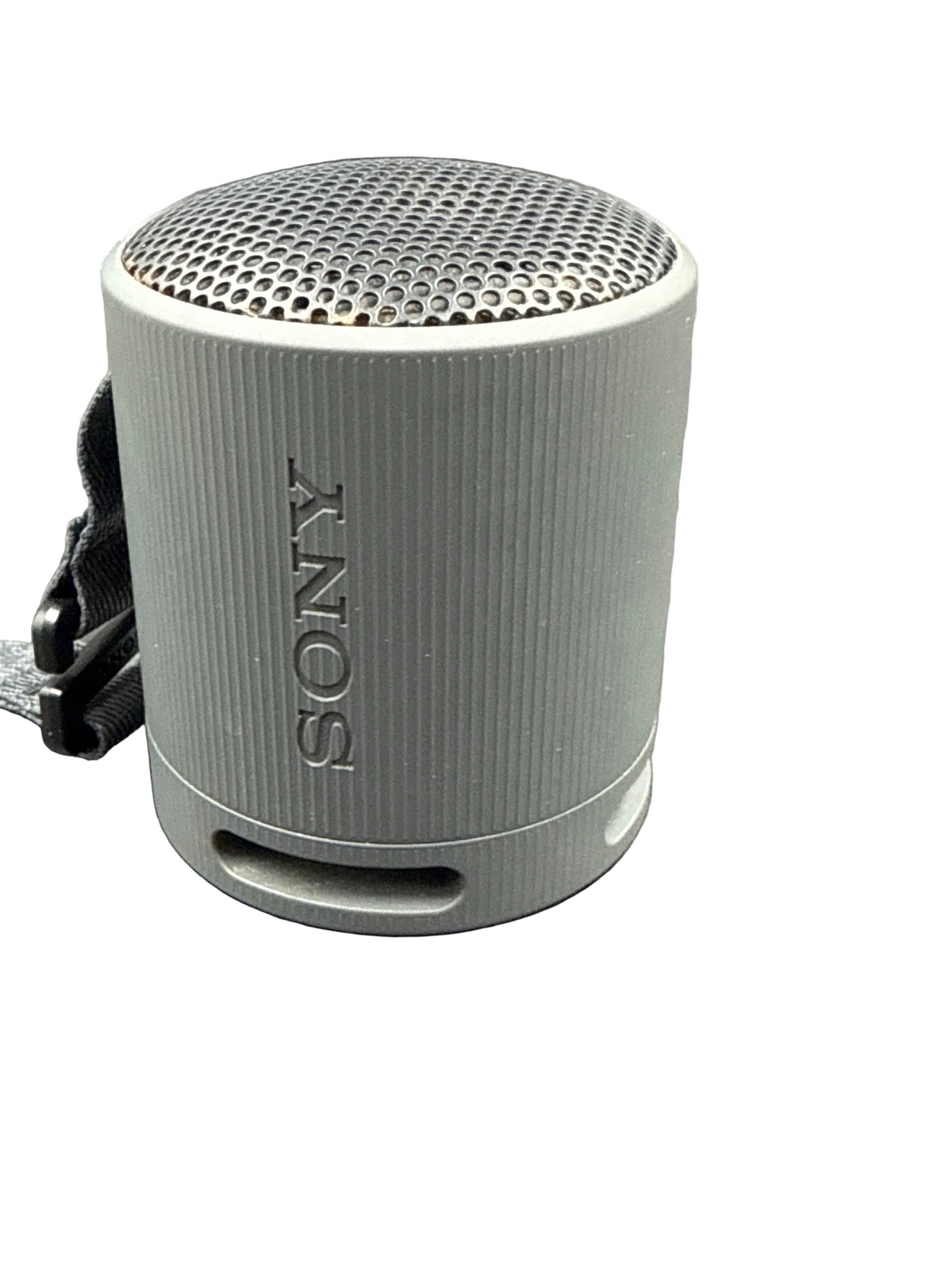 Sony Bluetooth Speaker SRS-XB100