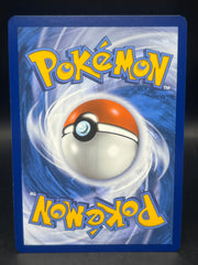 Houndoom 066/064 shrouded fable