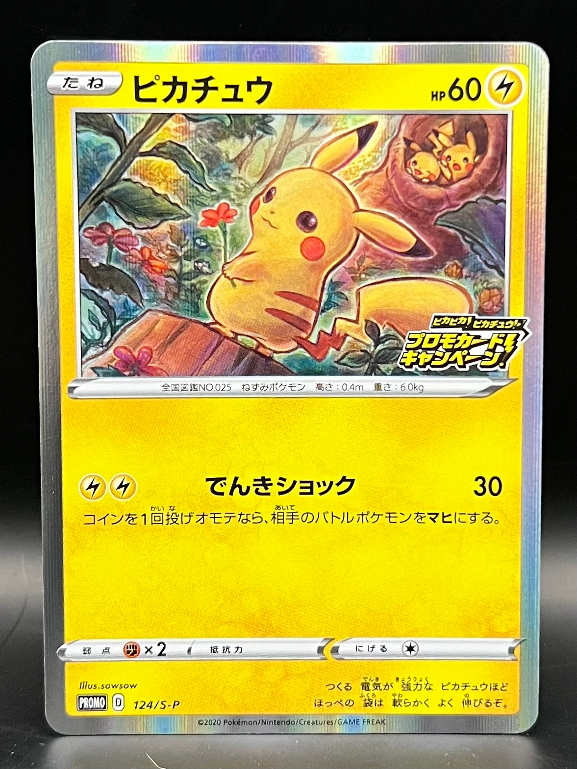 Japanese PikaPika 2020 Campaign Promo