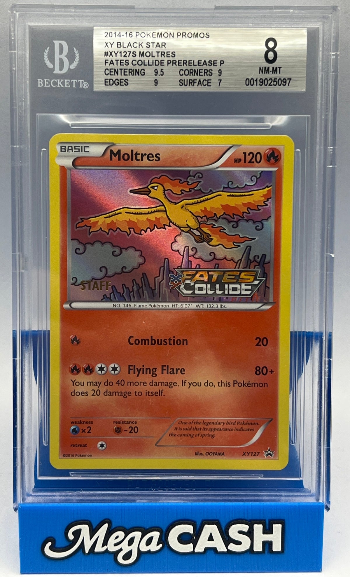Pokémon BGS 8 Moltres XY127 Staff XY Fates Collide