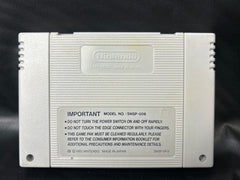 Champions World Class Soccer Ryan Giggs - Super Nintendo (SNES) Game - PAL