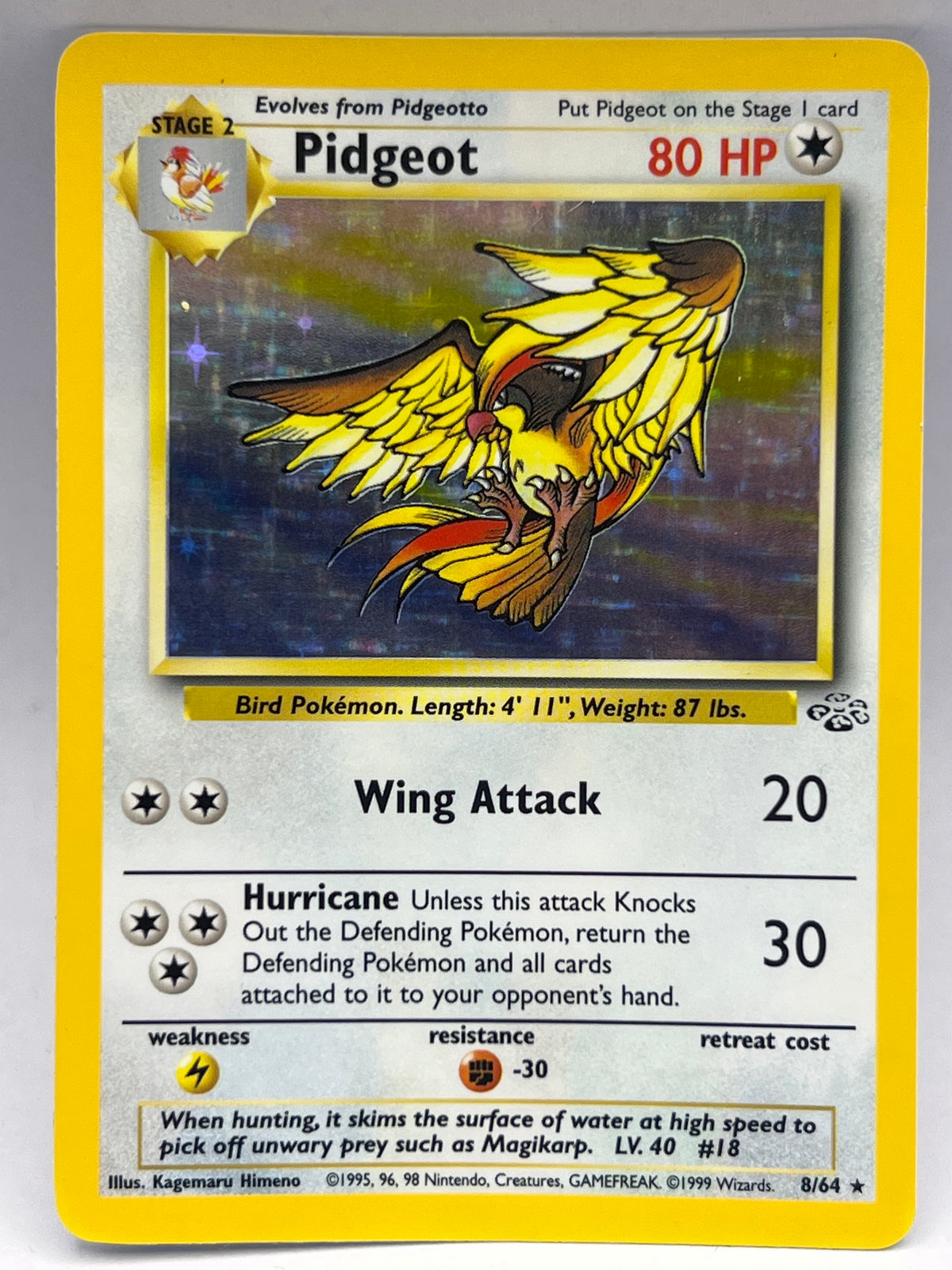Pokémon - Pidgeot Holo 8/64 Jungle