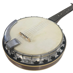 Washburn 5 String Banjo
