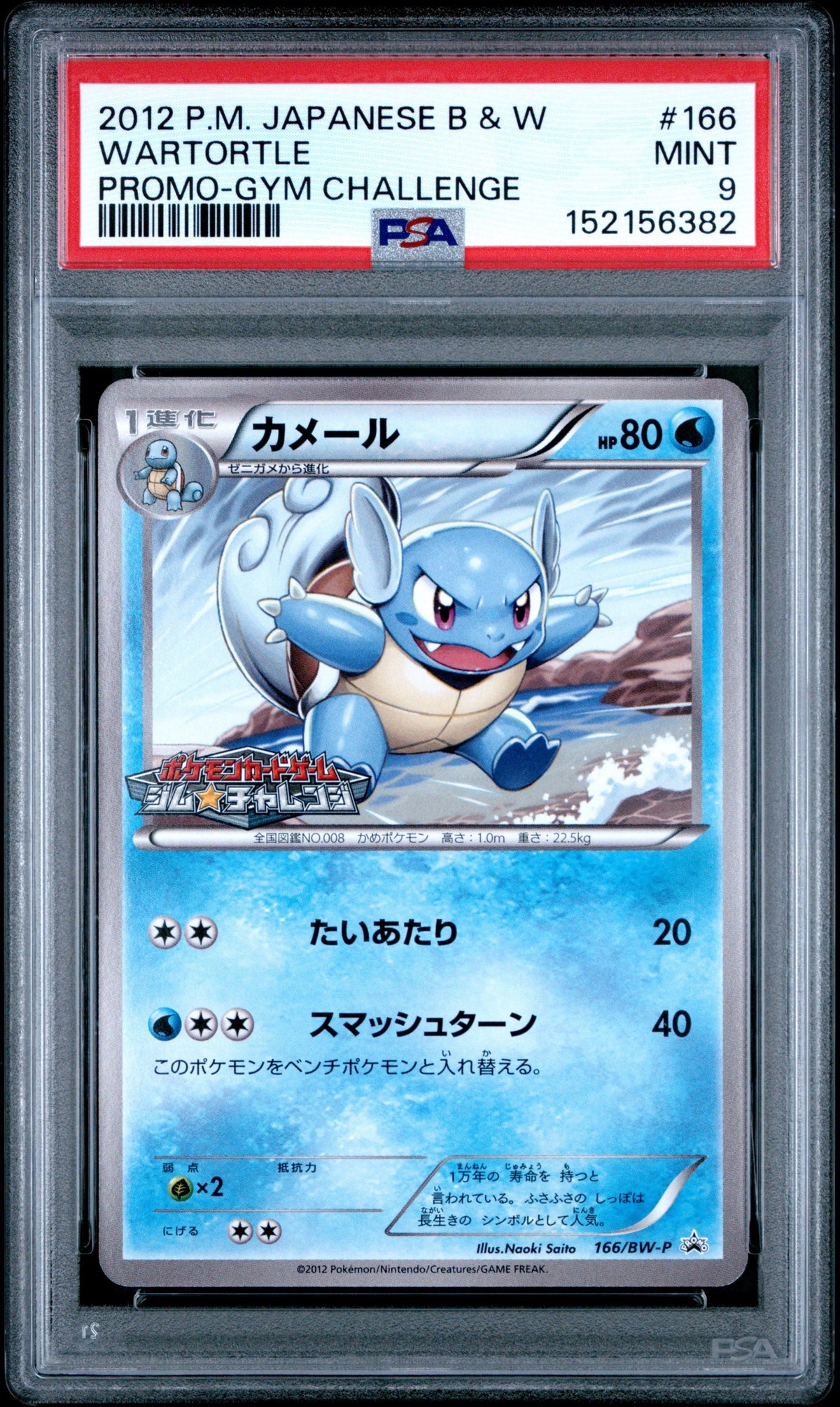 Pokémon - PSA 9 Wartortle 166/BW-P JPN Gym Promo