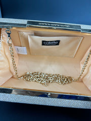 Collette by Collette Hayman clutch purse with seperate chained strap
