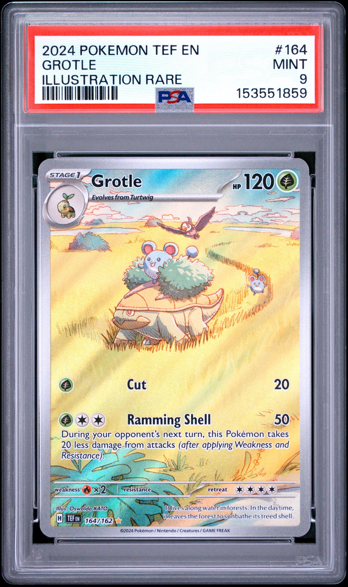 Pokemon - PSA 9 Grotle 164/162 Temporal Forces